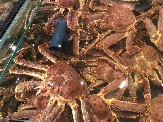 Homa Aquatic Product